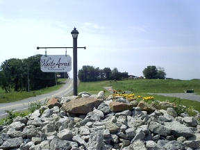 whiteacres.jpg